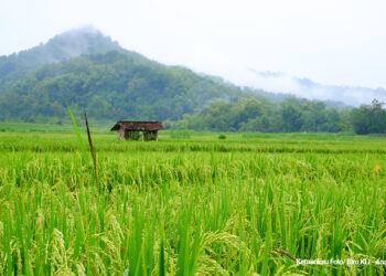 Tiga Data Penting Desa