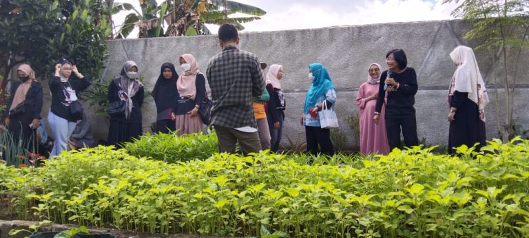 Semai Kebaikan, Wujudkan Harapan